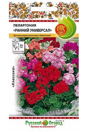 Цветы пеларгония Русский огород ранний универсал