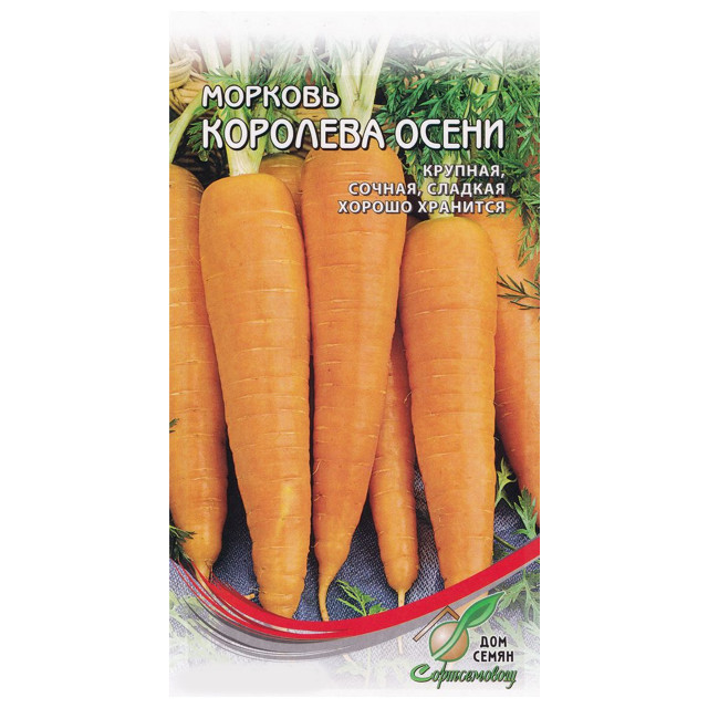 Где купить семена Морковь Королева осени Без бренда 