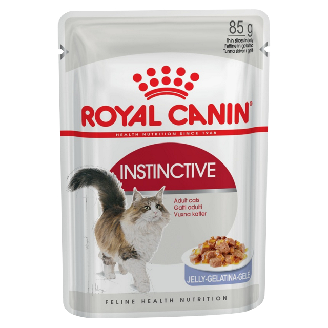 Где купить корм для кошек ROYAL CANIN в желе 85г от 12мес. Royal Canin 