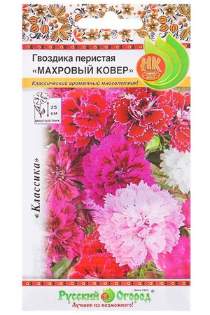 Цветы Гвоздика Русский огород перистая махровый ковер