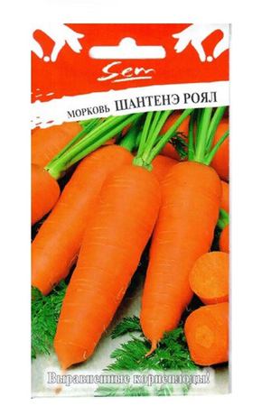 Морковь Русский огород шантенэ роял 2 г