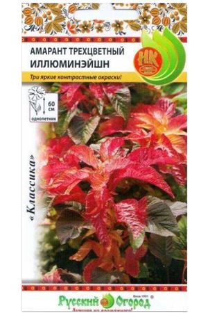 Цветы амарант Русский огород трехцветный иллюминейшн