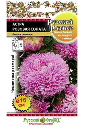 Цветы астра Русский огород розовая соната