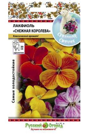 Цветы лакфиоль Русский огород снежная королева смесь