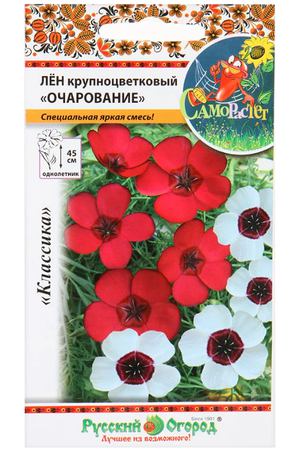 Цветы лен Русский огород крупноцветковый очарование