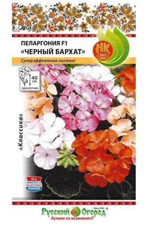 Цветы пеларгония Русский огород черный бархат смесь