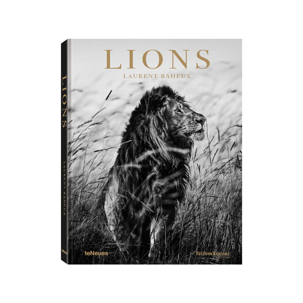 Где купить Lions Книга teNeues 