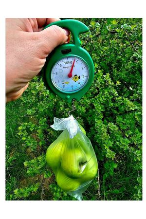Весы кухонные механические бытовые до 10 кг пластик зеленый