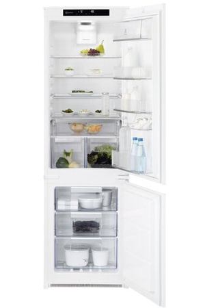 Встраиваемые холодильники Electrolux RNT8TE18S