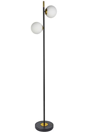 Светильник напольный Arte Lamp A2224PN-2BK