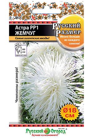 Цветы астра Русский огород русский размер I жемчуг