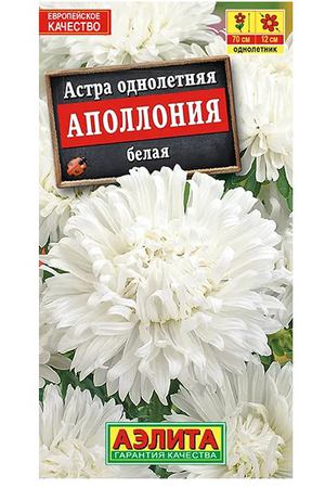 Аэлита Астра Аполлония White