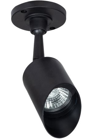 Уличный потолочный светильник Arte Lamp ELSIE A1022AL-1BK