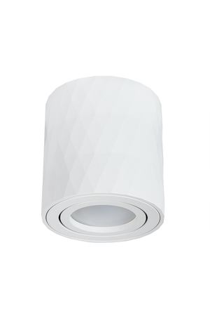 Точечный накладной светильник Arte Lamp FANG A5559PL-1WH