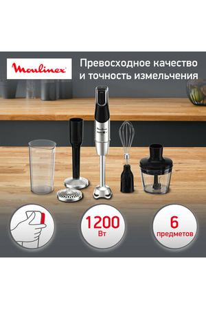 Погружной блендер Moulinex DD95HD10 RU, серебристый/черный