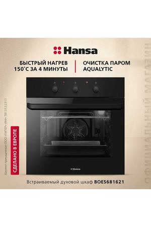 Электрический духовой шкаф Hansa BOES681621, черный