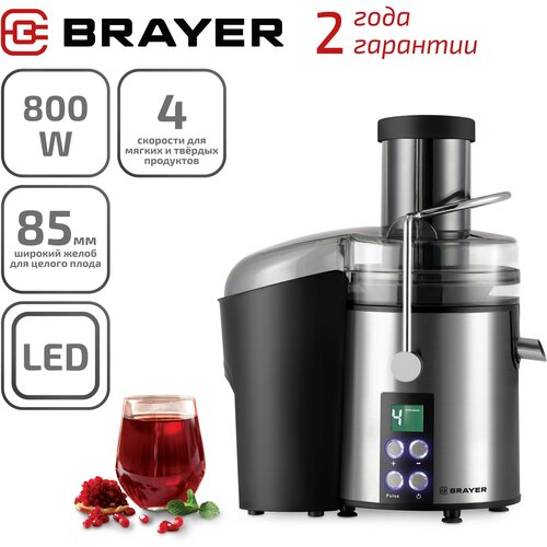 Где купить Соковыжималка центробежная Brayer BR1705 800 Вт 4 скорости Brayer 