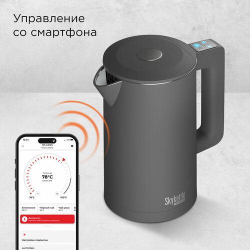 Где купить Чайник REDMOND SkyKettle KM231S (серый) Redmond 