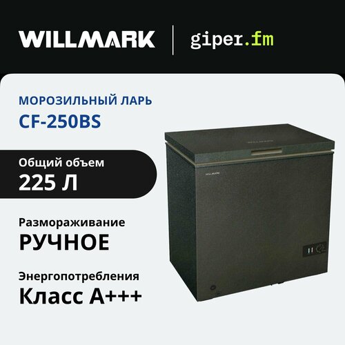 Где купить Морозильный ларь Willmark CF-250BS, объем 225 л, мощность замораживания 9.2 кг./сутки, BlackStone Willmark 