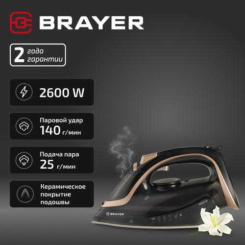 Где купить Паровой утюг BRAYER BR4017 керамический с вертикальным отпариванием, с защитой от накипи, электрический бытовой Brayer 