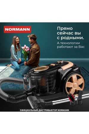 Пылесос бытовой NORMANN AVC-213 (N16013-1)
