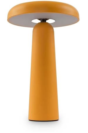 Светильник настольный Freya FR6109TL-L4OR