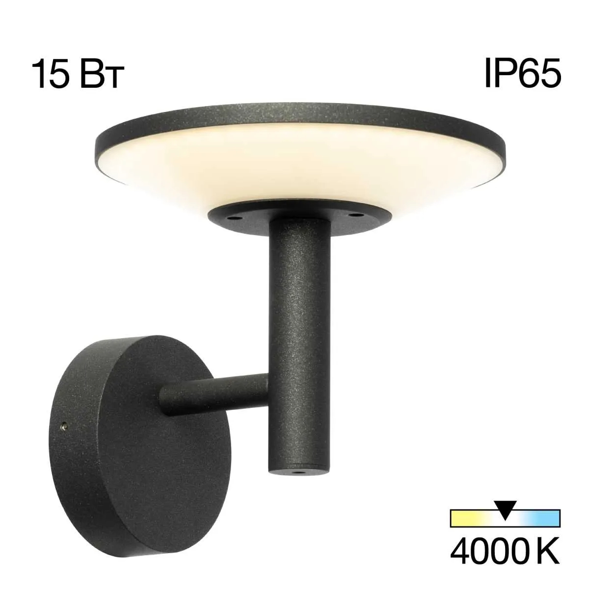 Где купить Уличный настенный светильник Citilux Dorn CLU05W Citilux 