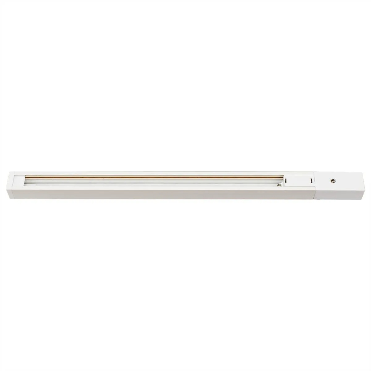 Где купить Шинопровод для трековой системы Citilux CL01at100 белый 1м Citilux 