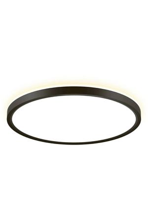 Светильник накладной Citilux CL748321 Norma черный