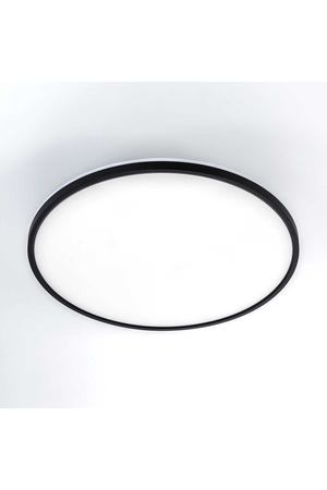 Светильник накладной Citilux CL748501 Norma черный