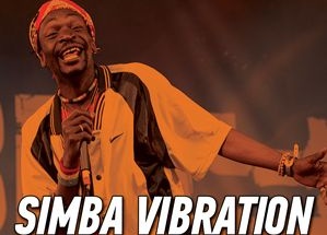 Simba Vibration