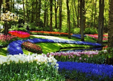 Moscow Flower Show